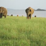 Travonee Map 86 GI ChIJ8VA090LI5DoRmvEDva3 Xgg